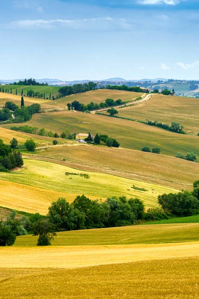 Krajobraz Wiejski Wzdłuż Drogi Santa Maria Nuova Osimo Prowincja Ancona — Zdjęcie stockowe