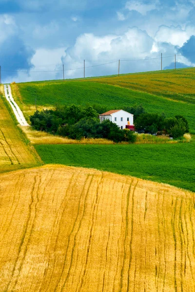 フィロットロからサンタ マリア ヌオーヴァ アンコナ州 マルケ州 イタリア 春の時間に道路に沿って国の風景 — ストック写真