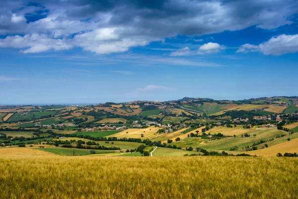 Paisagem Rural Longo Estrada Santa Maria Nuova Para Osimo Província — Fotografia de Stock