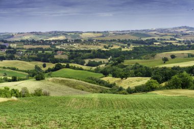 İlkbaharda Cingoli 'den Appignano' ya, Ancona 'ya, Marche, İtalya' ya giden yol boyunca kır manzarası