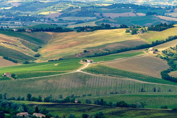 Landskap Längs Vägen Från Ostra Vetere Till Cingoli Ancona Provinsen — Stockfoto