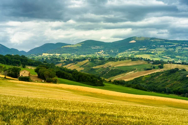 Landskap Längs Vägen Från Cingoli Till Appignano Anconaprovinsen Marche Italien — Stockfoto