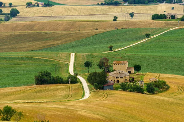 Landschap Langs Weg Van Cingoli Naar Appignano Provincie Ancona Marche — Stockfoto