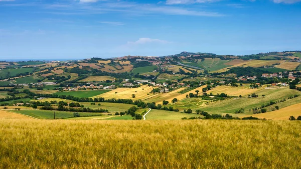 Paisagem Rural Longo Estrada Santa Maria Nuova Para Osimo Província — Fotografia de Stock