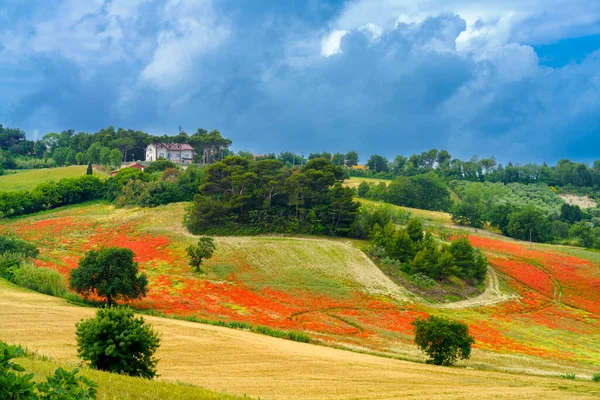Springtime Landscape Conero Ancona Marche Italy — Stock Photo, Image