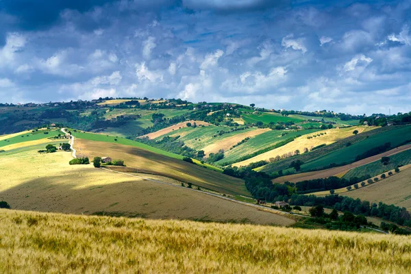 Αγροτικό Τοπίο Στην Επαρχία Fermo Marche Ιταλία Κοντά Στο Monterubbiano — Φωτογραφία Αρχείου