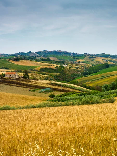 春にはイタリアのマルケ州アスコリ ピエーノ県のオフィーダ付近の田園風景 — ストック写真