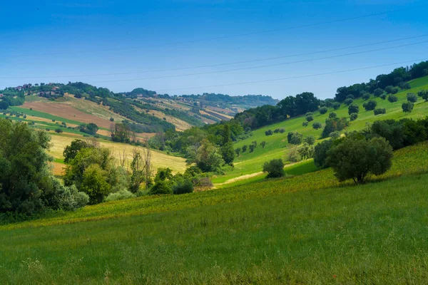 Paisaje Rural Provincia Fermo Marche Italia Cerca Monterubbiano — Foto de Stock