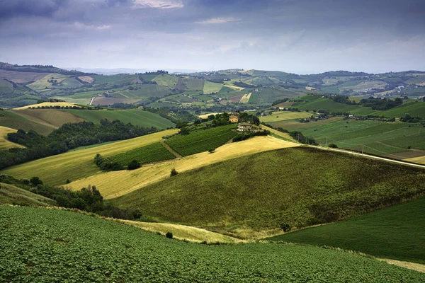 Venkovská Krajina Poblíž Ripatransone Provincii Ascoli Piceno Marche Itálie Jaře — Stock fotografie