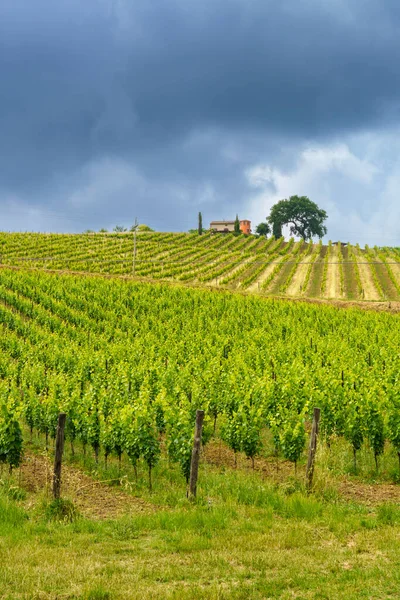 Venkovská Krajina Poblíž Provincií Monterubbiano Ripatransone Mezi Fermem Ascoli Piceno — Stock fotografie