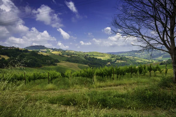 Paisagem Rural Perto Monterubbiano Ripatransone Entre Províncias Fermo Ascoli Piceno — Fotografia de Stock