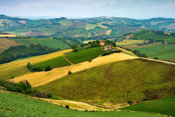 Landsbygdslandskap Nära Ripatransone Ascoli Piceno Provinsen Marche Italien Våren — Stockfoto