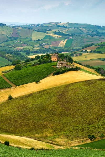 Rural Landscape Ripatransone Ascoli Piceno Province Marche Italy Springtime — Stock Photo, Image
