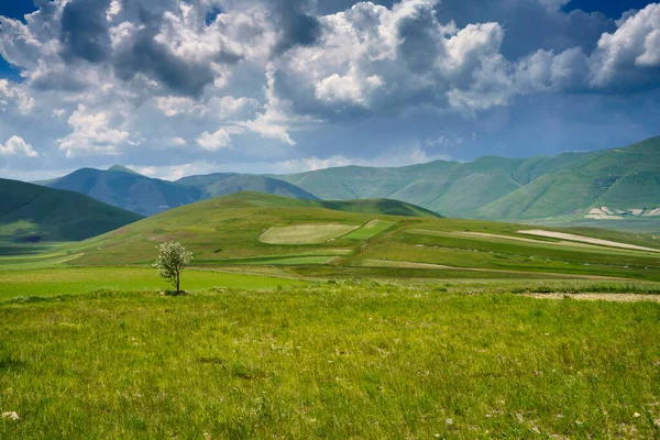 Piano Grande di Castelluccio di Norcia, Perugia ili, Umbria, İtalya, Monti Sibillini doğal parkındaki dağ ve kırsal alan