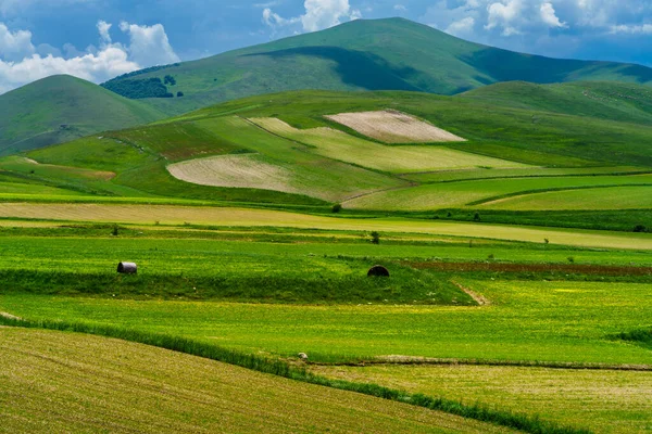 Piano Grande Castelluccio Norcia Provincia Perugia Umbría Italia Montaña Paisaje —  Fotos de Stock