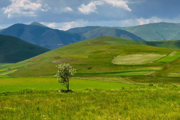 Piano Grande Castelluccio Norcia Επαρχία Perugia Ούμπρια Ιταλία Ορεινό Και — Φωτογραφία Αρχείου