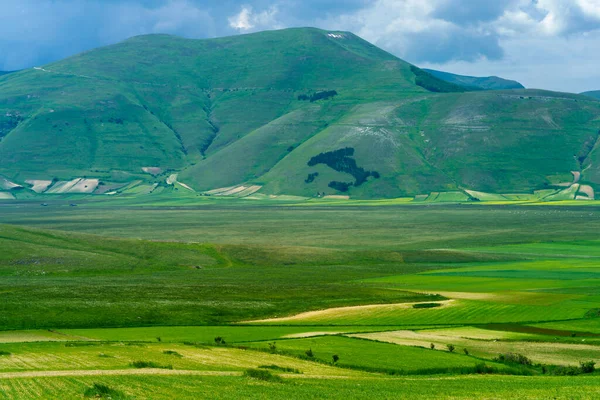 Piano Grande Castelluccio Norcia Província Perugia Úmbria Itália Paisagem Montanhosa — Fotografia de Stock