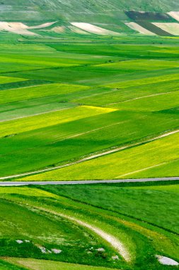 Piano Grande di Castelluccio di Norcia, Perugia ili, Umbria, İtalya, Monti Sibillini doğal parkındaki dağ ve kırsal alan