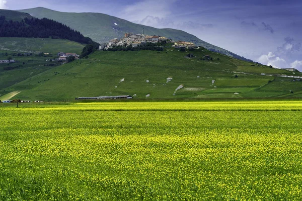 Piano Grande Castelluccio Norcia Provinz Perugia Umbrien Italien Berg Und — Stockfoto