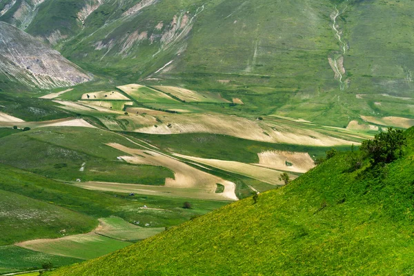 Piano Grande Castelluccio Norcia Perugia Province Umbria Italy Mountain Rural — Stock Photo, Image