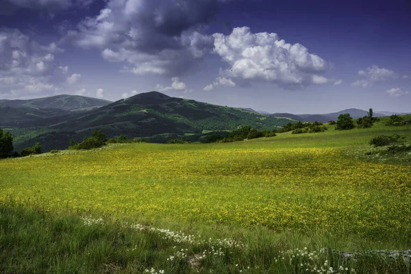 Rural Landscape Road Norcia Cittareale Perugia Province Umbria Italy Springtime — Stockfoto