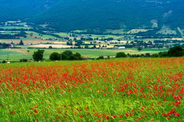 Baharda Norcia 'dan Forca Canapine, Perugia, Umbria, İtalya' ya giden yol boyunca manzara