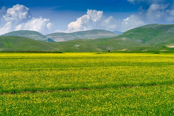 Piano Grande Castelluccio Norcia Perugia Province Umbria Italy Mountain Rural — 图库照片