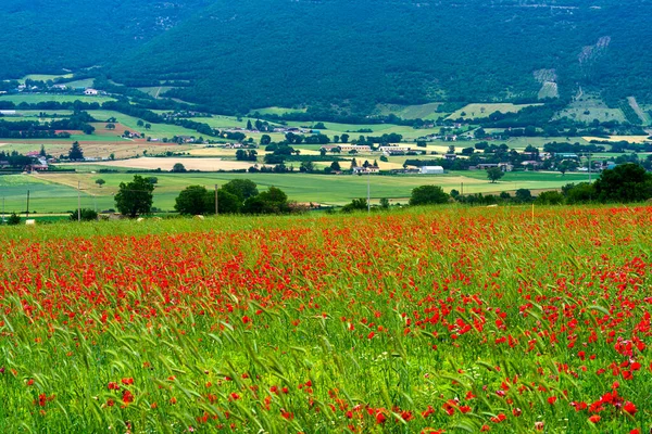 Paisaje Por Carretera Norcia Forca Canapine Provincia Perugia Umbría Italia —  Fotos de Stock