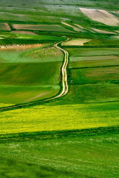 Piano Grande Castelluccio Norcia Province Pérouse Ombrie Italie Paysage Montagneux — Photo