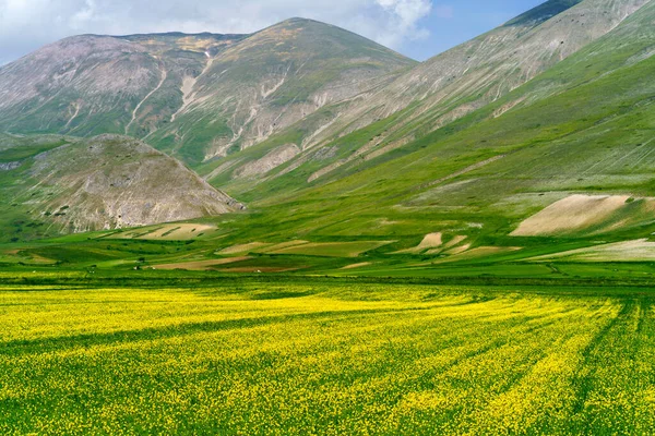 Piano Grande Castelluccio Norcia Perugia Province Umbria Italy Mountain Rural — Stock Photo, Image