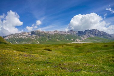 İtalya 'nın Abruzzo kentindeki Gran Sasso Doğal Parkı' ndaki dağ manzarası, baharda (Haziran))