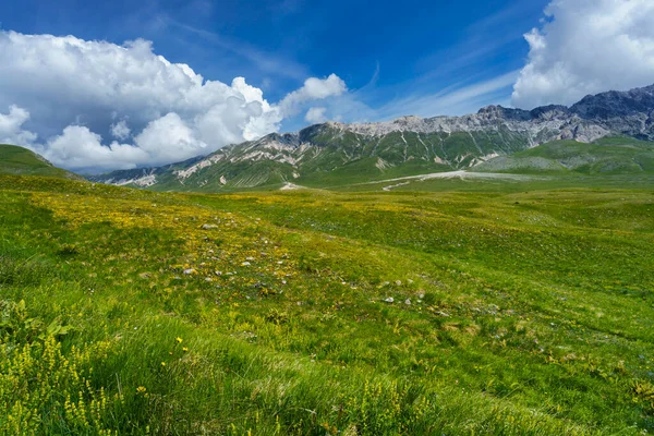 İtalya 'nın Abruzzo kentindeki Gran Sasso Doğal Parkı' ndaki dağ manzarası, baharda (Haziran))