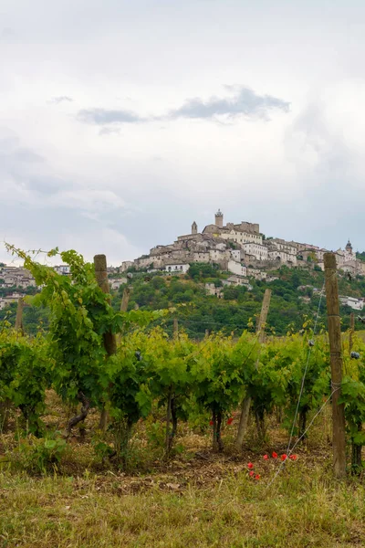 Capestrano Aquila Province Abruzzo Italy View Historic Town — Stockfoto