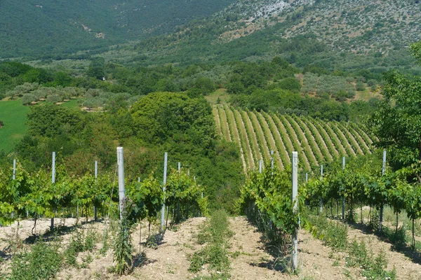 Paisaje Primaveral Terre Dei Peligni Cerca Popoli Vittorito Provincia Aquila — Foto de Stock