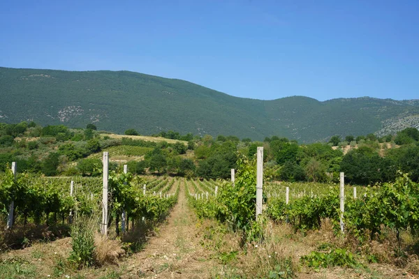 Paisaje Primaveral Terre Dei Peligni Cerca Popoli Vittorito Provincia Aquila — Foto de Stock