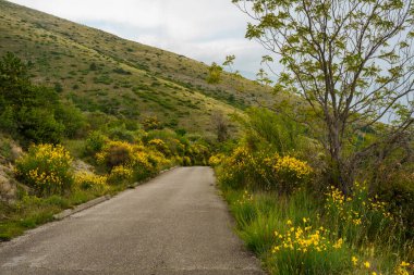 İtalya 'nın Abruzzo kentindeki Gran Sasso Doğal Parkı' ndaki dağ manzarası, baharda (Haziran)).