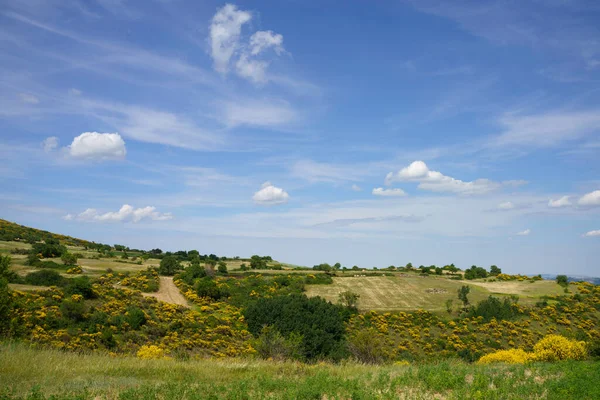 Landscape Molise Macchiagodena Frosolone Isernia Province June — Stock Photo, Image