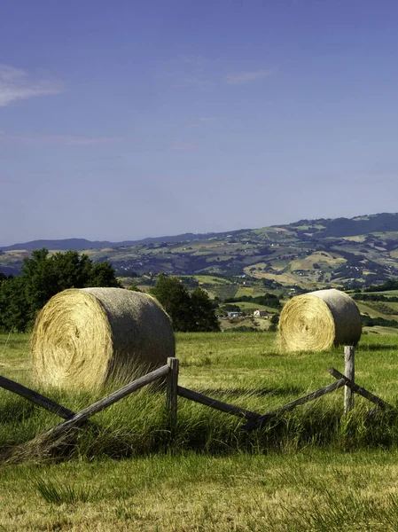 Paisaje Sannio Molise Cerca Torella Provincia Isernia Junio — Foto de Stock