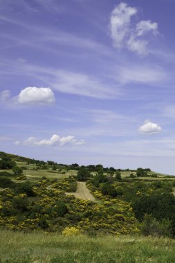 Haziran 'da Macchiagodena ve Frosolone yakınlarındaki Molise' de manzara
