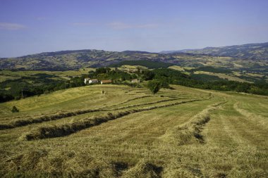 Haziran 'da Torella, Isernia yakınlarındaki Sannio, Molise' de manzara
