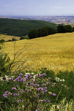 Campobasso ili, Molise, İtalya, Termoli yolu boyunca manzara