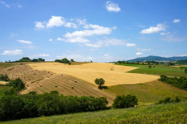 Campobasso Ili Molise Talya Termoli Yolu Boyunca Manzara — Stok fotoğraf