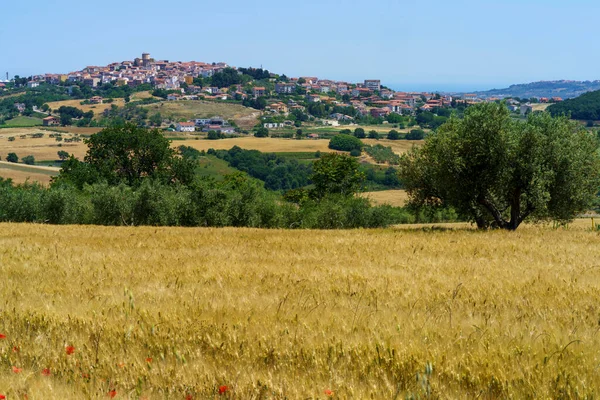 Τοπίο Στην Επαρχία Campobasso Μολίζε Ιταλία Κατά Μήκος Του Δρόμου — Φωτογραφία Αρχείου