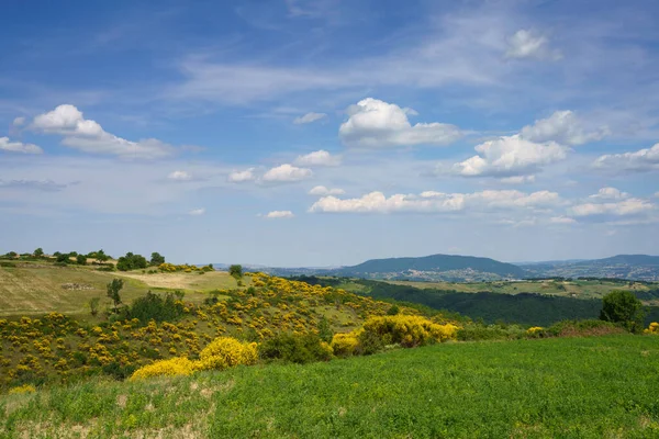 Τοπίο Στο Molise Κοντά Στο Macchiagodena Και Frosolone Επαρχία Isernia — Φωτογραφία Αρχείου