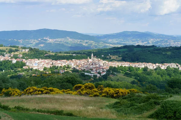 Tájkép Molise Közelében Macchiagodena Frosolone Isernia Tartomány Júniusban Kilátás Sant — Stock Fotó