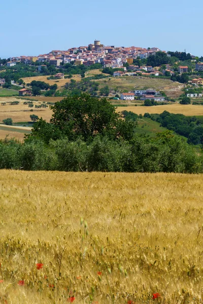 Landskap Campobasso Provinsen Molise Italien Längs Vägen Till Termoli — Stockfoto