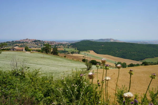 Landschaft Der Provinz Campobasso Molise Italien Entlang Der Straße Nach — Stockfoto