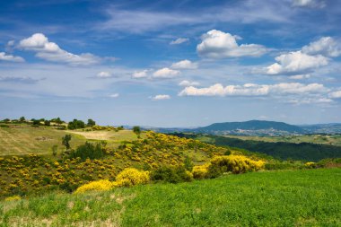 Haziran 'da Macchiagodena ve Frosolone yakınlarındaki Molise' de manzara