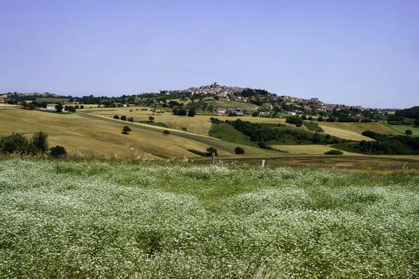 Krajobraz Prowincji Campobasso Molise Włochy Wzdłuż Drogi Termoli — Zdjęcie stockowe