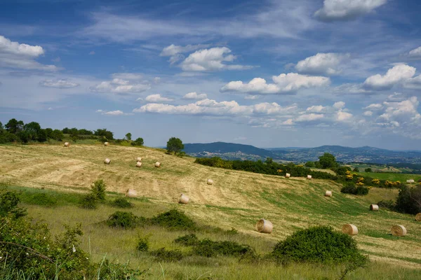 Landschaft Molise Bei Macchiagodena Und Frosolone Provinz Isernia Juni — Stockfoto